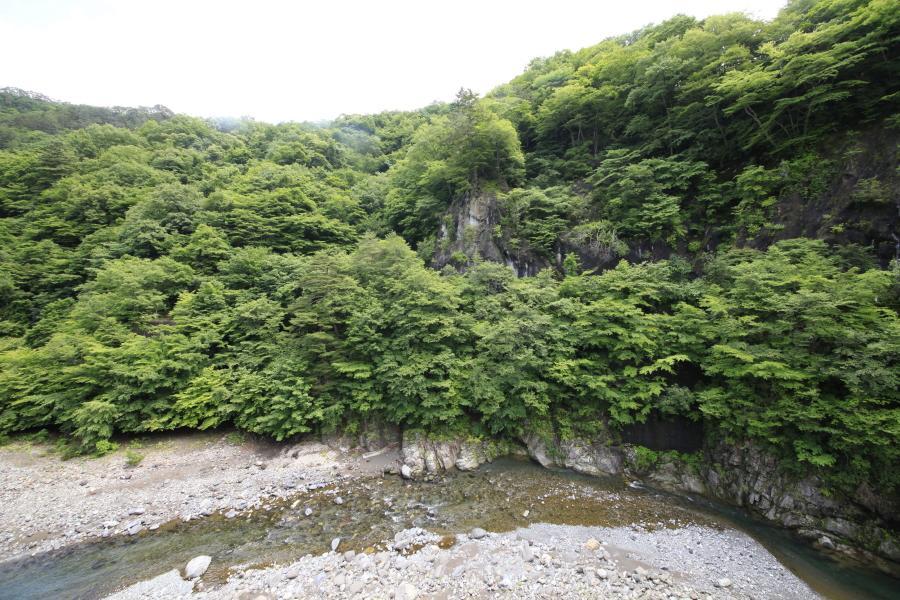 Отель Minshuku Fukufuji Никко Экстерьер фото